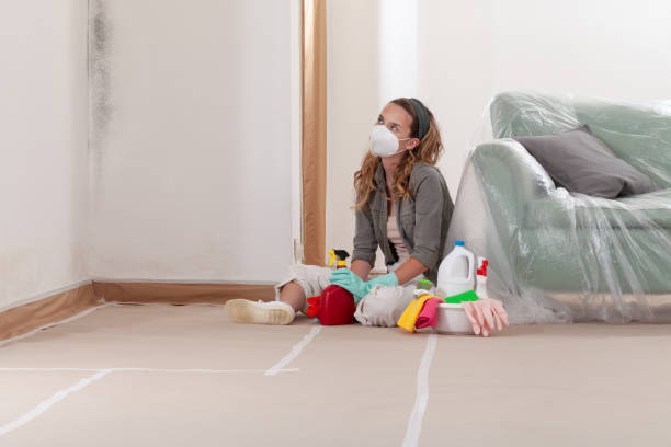 Reliable Black Mold Remediation contractor in Decatur, TX by 24 Hour Mold Removal